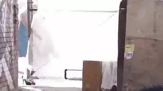 الكلاب الثريات يتم ملء مهبلها بقضيب سميك، وليس فيلم