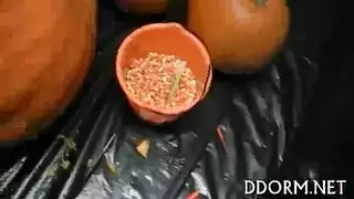 سياره يمنيه عمانيه خلجيه